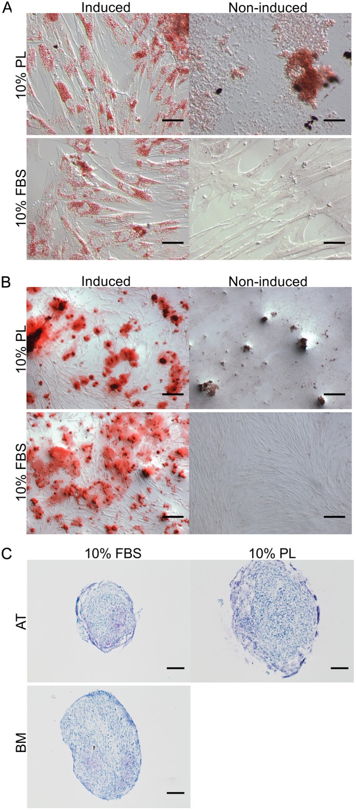 Fig 5