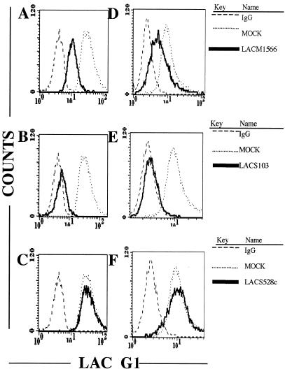 FIG. 4.