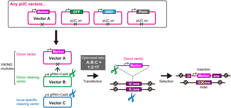 Figure 5