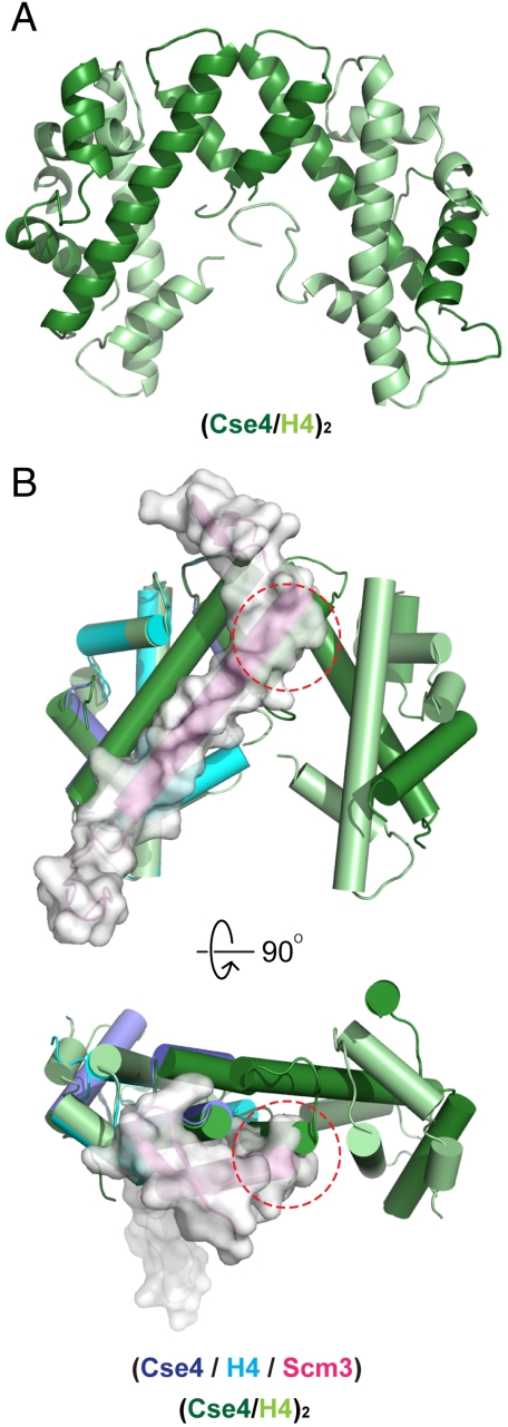 Fig. 3.