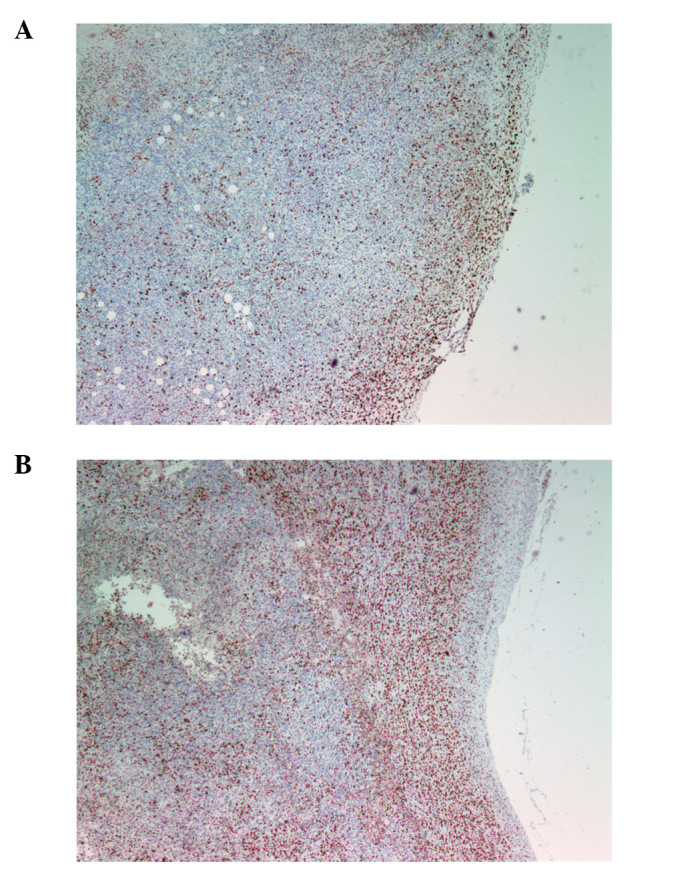 Figure 10.