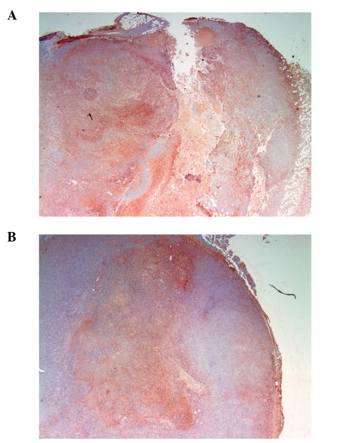 Figure 12.