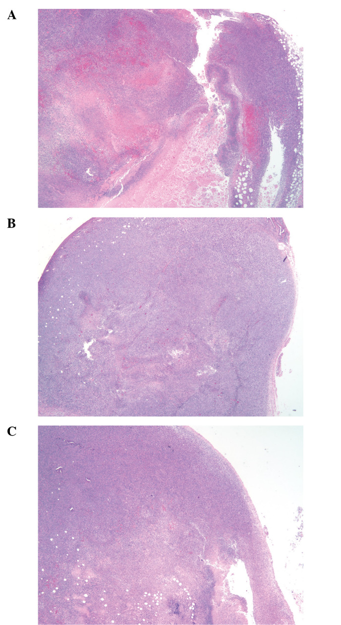 Figure 5.