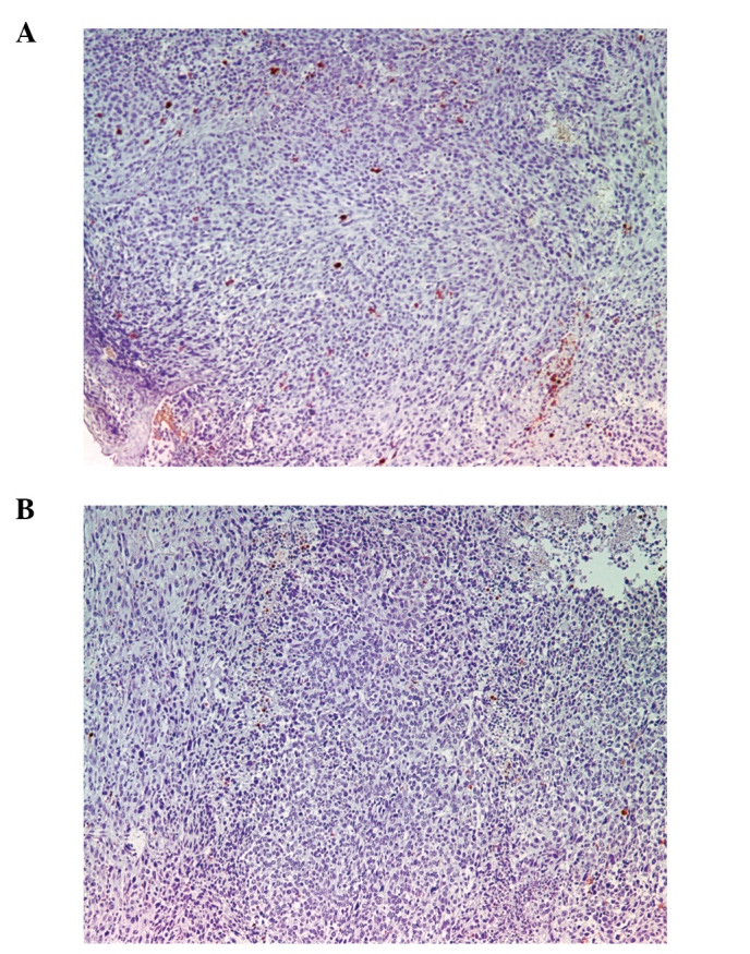 Figure 11.