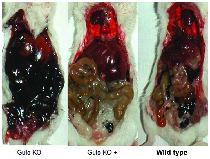 Figure 2.