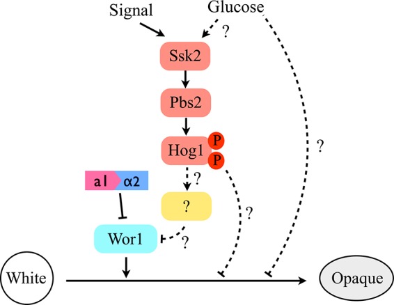 FIG 7