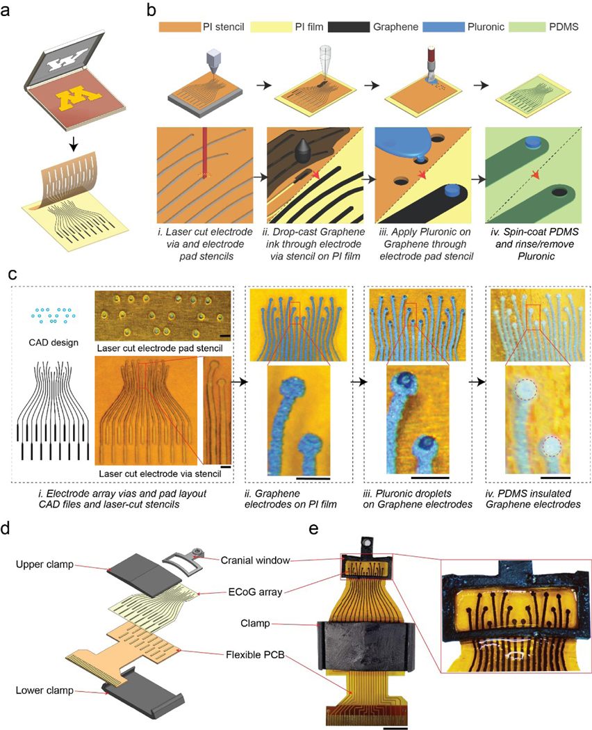 Figure 1 |