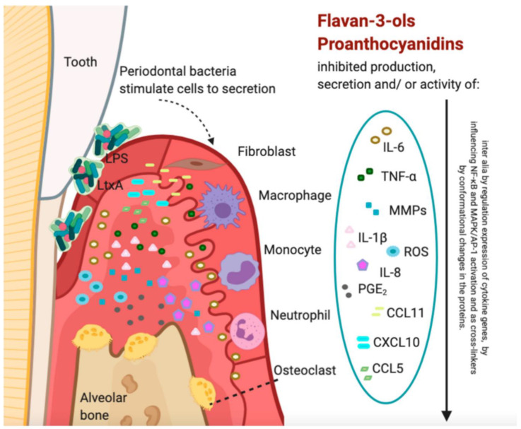 Figure 15