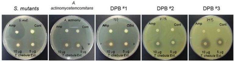 Figure 14