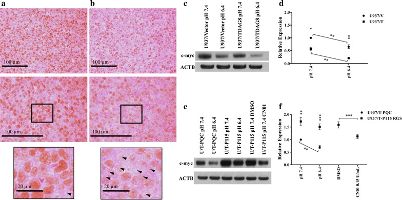 Fig. 4