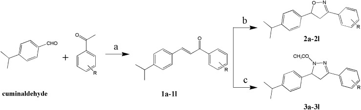 Scheme 1.  Synthesis of cuminaldehyde derivatives. Reagents and conditions: (a) EtOH, 1 M NaOH, rt, 8 hr, 60–85%; (b) EtOH, NH2OH·HCl, NaOH, reflux, 8 hr, 49–67%; (c) acetic acid, N2H4·H2O, reflux, 4 hr, 60–80%. R=o-CH3(1a, 2a, 3a); o-Br(1b, 2b, 3b); o-Cl(1c, 2c, 3c); o-F(1d, 2d, 3d); m-CH3(1e, 2e, 3e); m-Br(1f, 2f, 3f); m-Cl(1g, 2g, 3g); m-F(1h, 2h, 3h); p-CH3(1i, 2i, 3i); p-Br(1j, 2j, 3j); p-Cl(1k, 2k, 3k); p-F(1l, 2l, 3l).