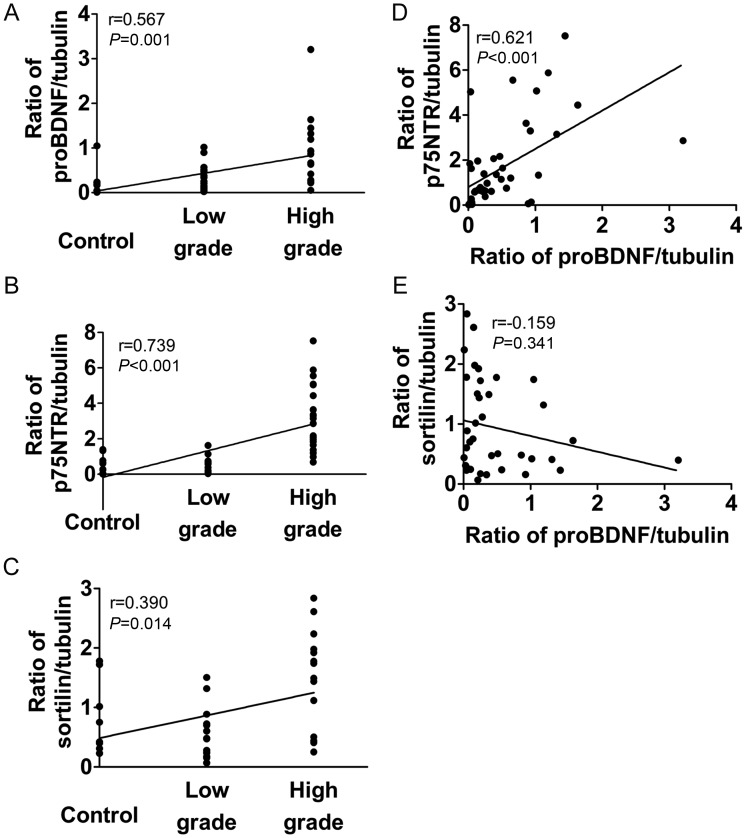 Fig. 4.