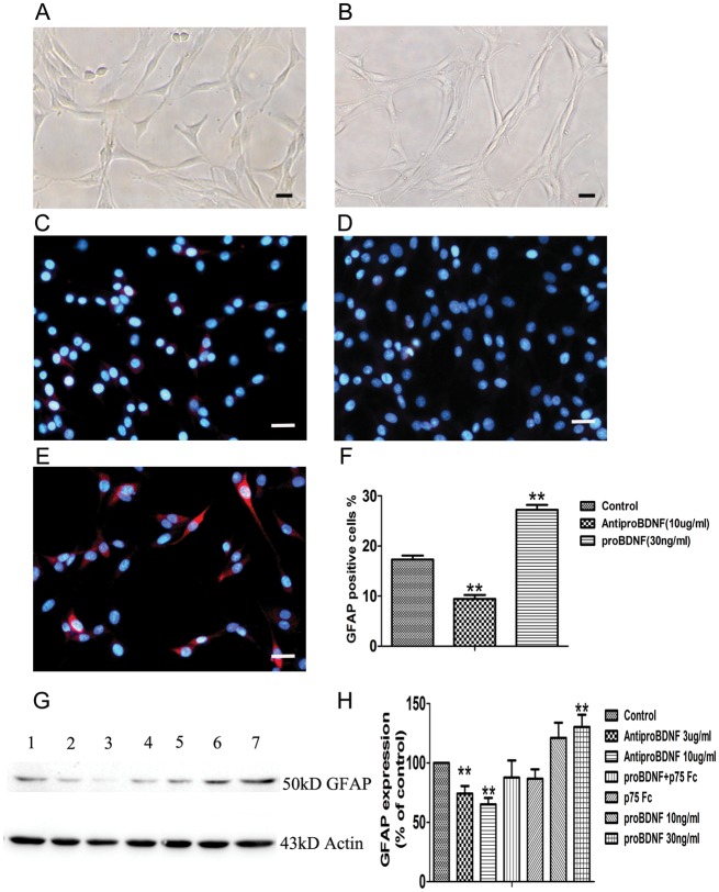 Fig. 6.