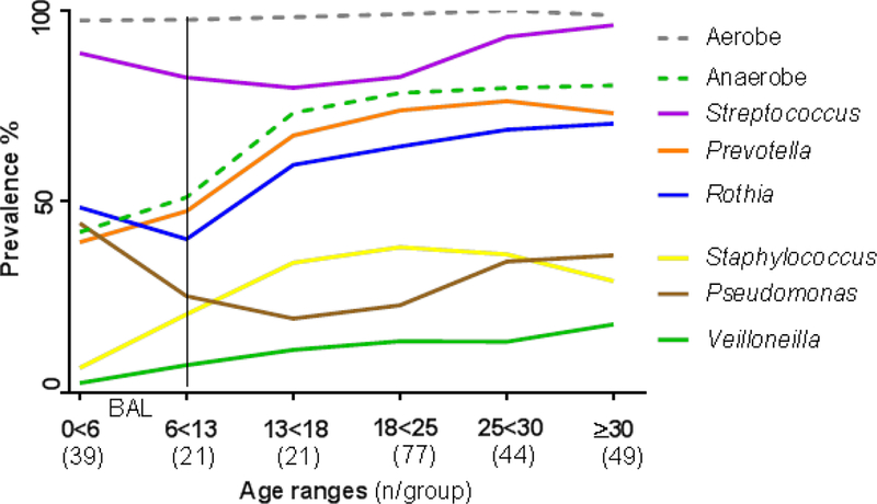 Figure 1B: