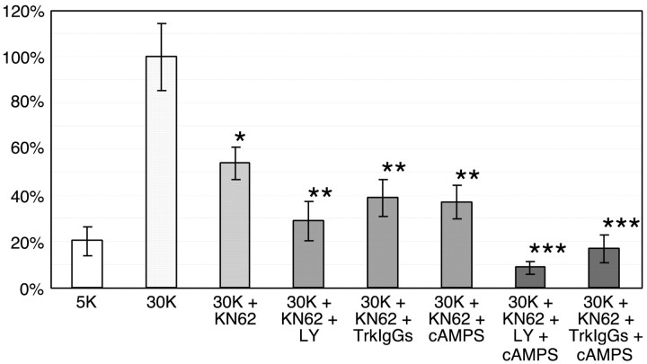 Fig. 9.