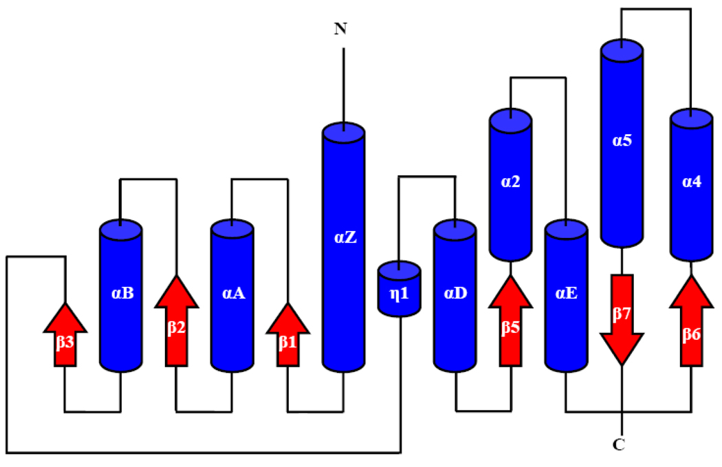 Fig. 1