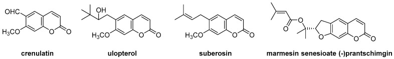 Figure 25