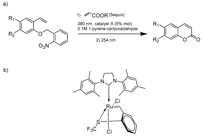 Scheme 5