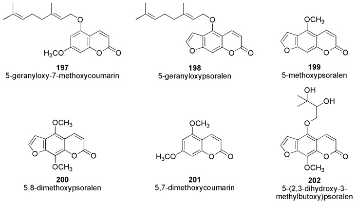 Figure 65