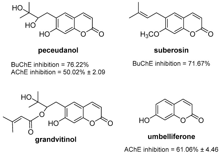 Figure 39