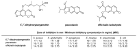 Figure 20