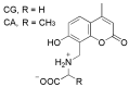 Figure 63