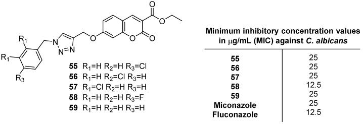 Figure 22