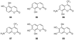 Figure 32