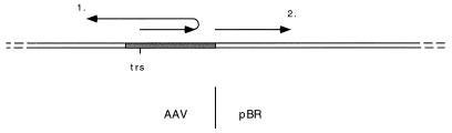 FIG. 7