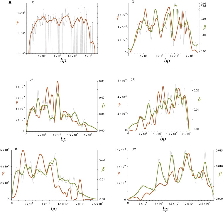 Figure 3 