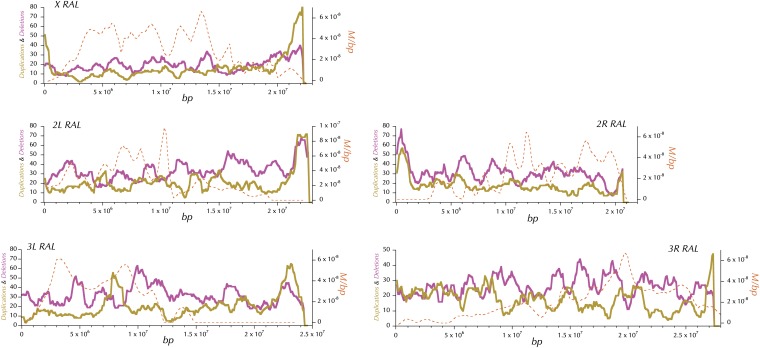 Figure 16 