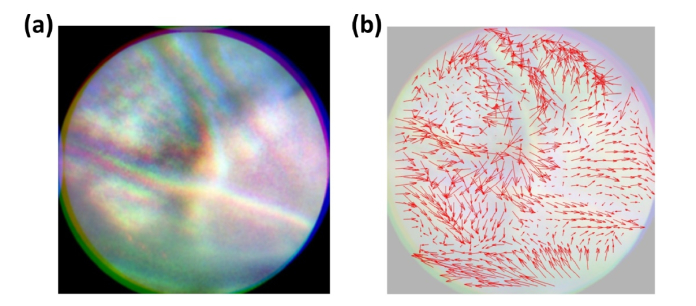 Fig. 8