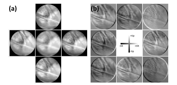 Fig. 7