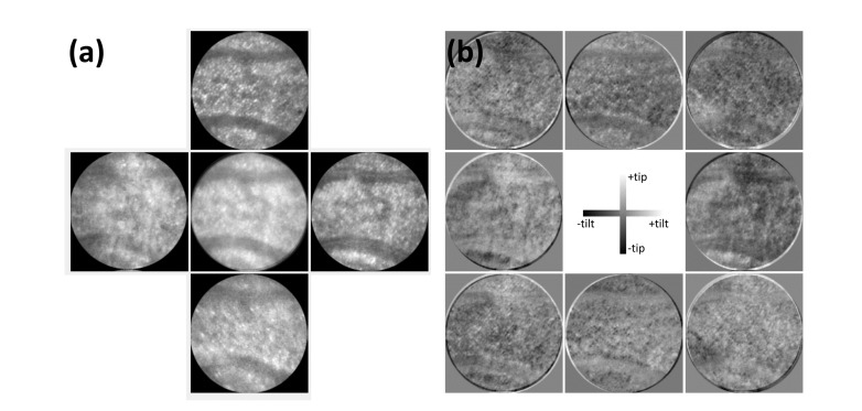 Fig. 3