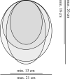 Fig 7