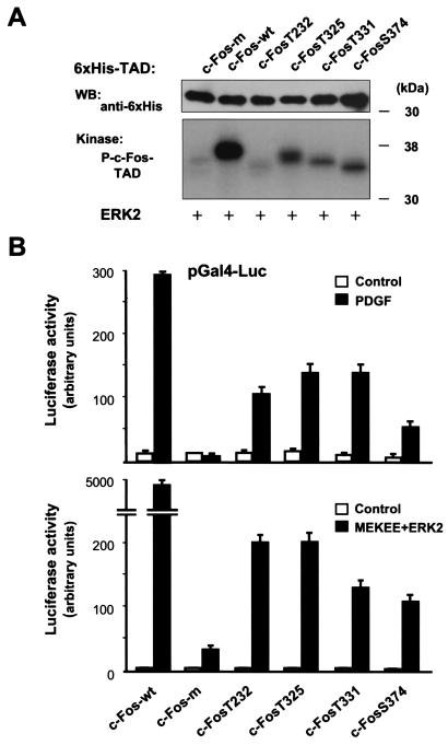 FIG. 8.