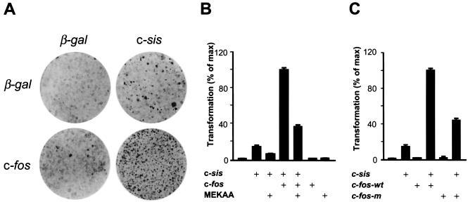 FIG. 9.