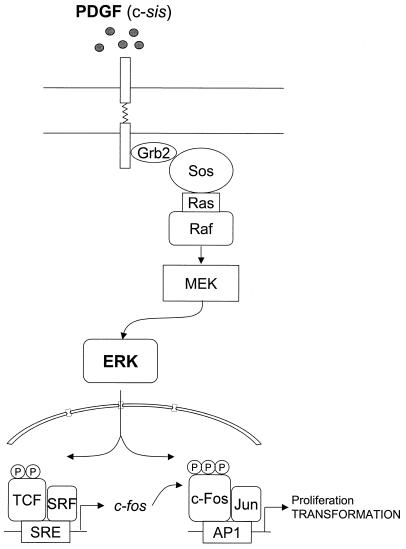 FIG. 10.