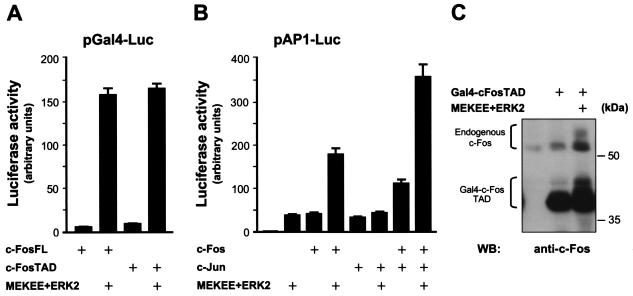 FIG. 4.