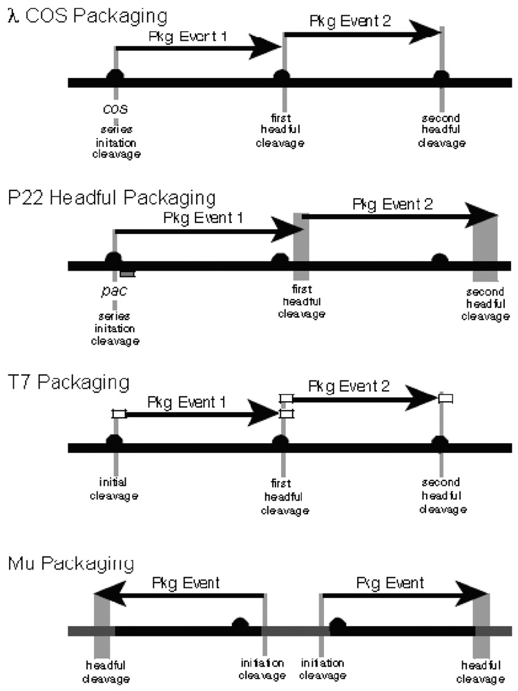 Fig. 7.1