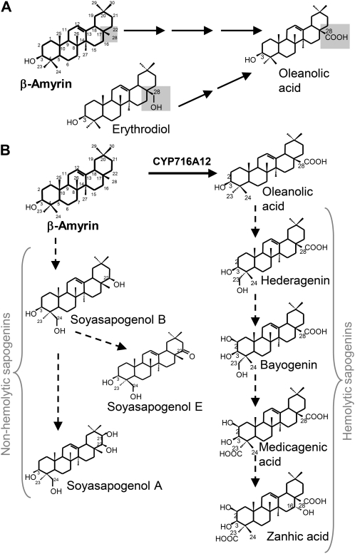 Figure 9.