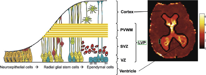 Image, graphical abstract