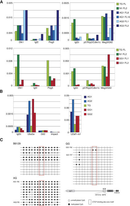 Figure 4.