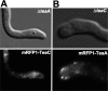 FIG. 9.