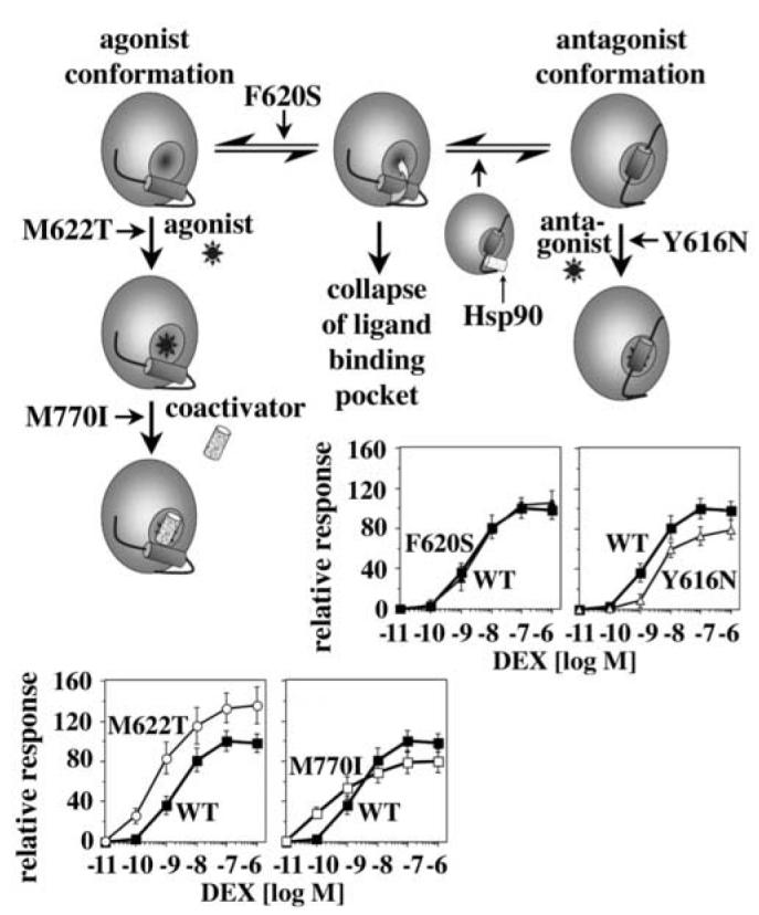 Fig. 8