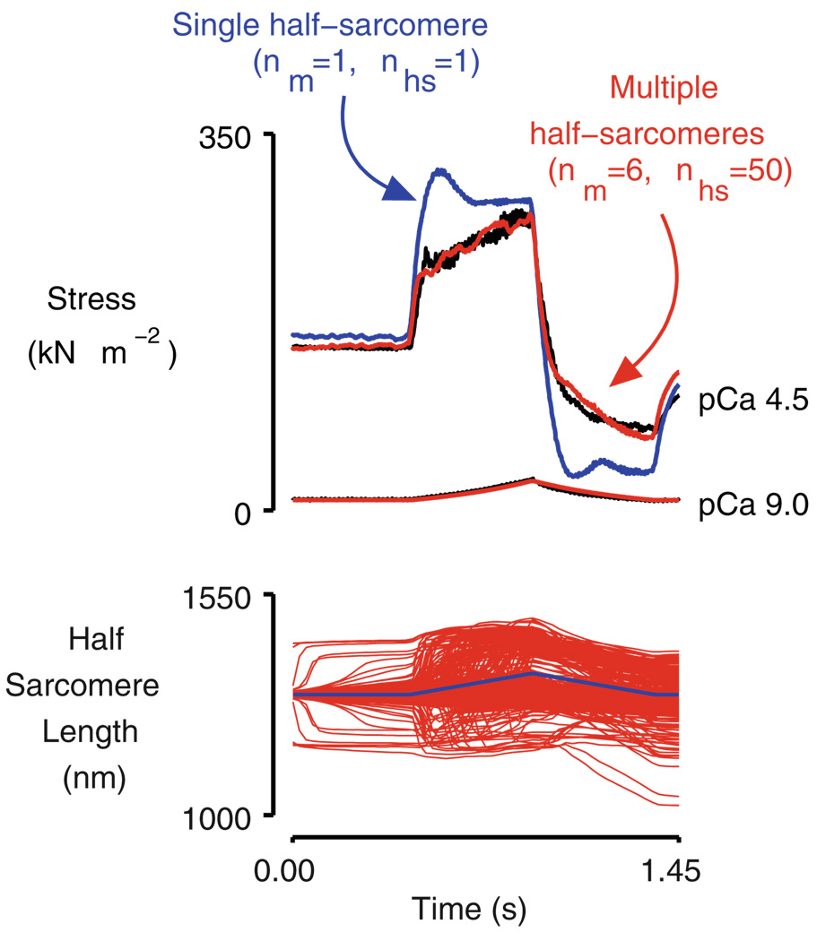 Fig. 4