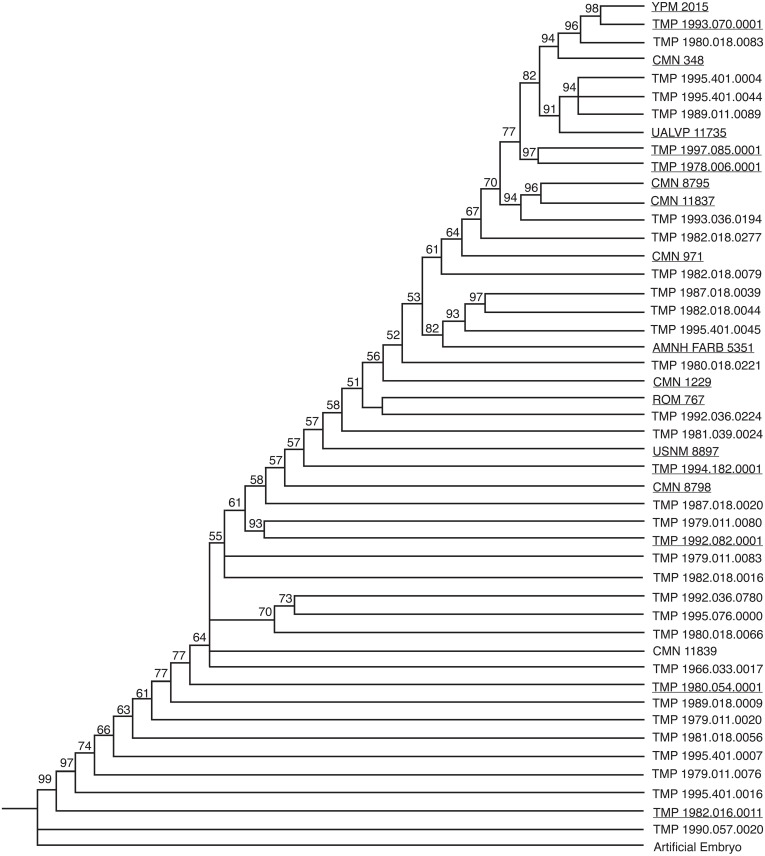 Figure 2