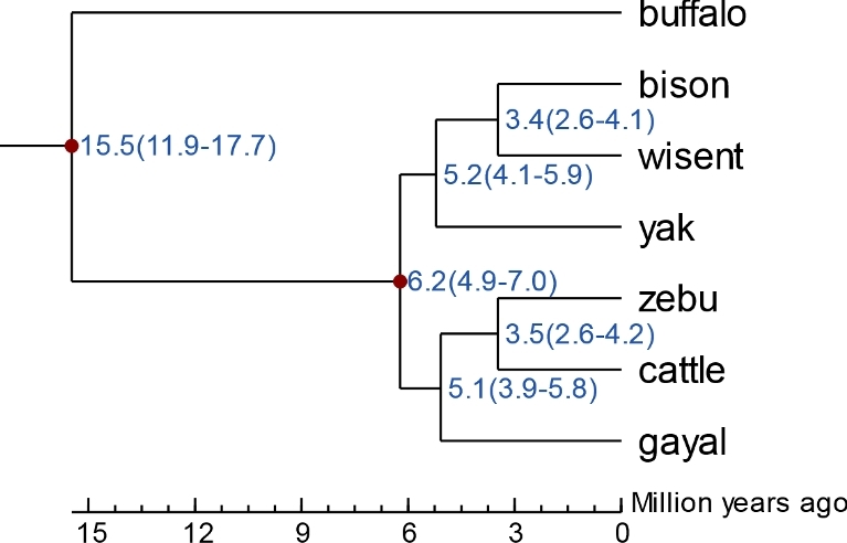 Figure 6: