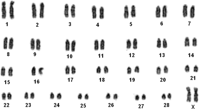 Figure 2: