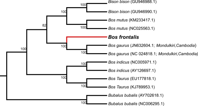 Figure 5: